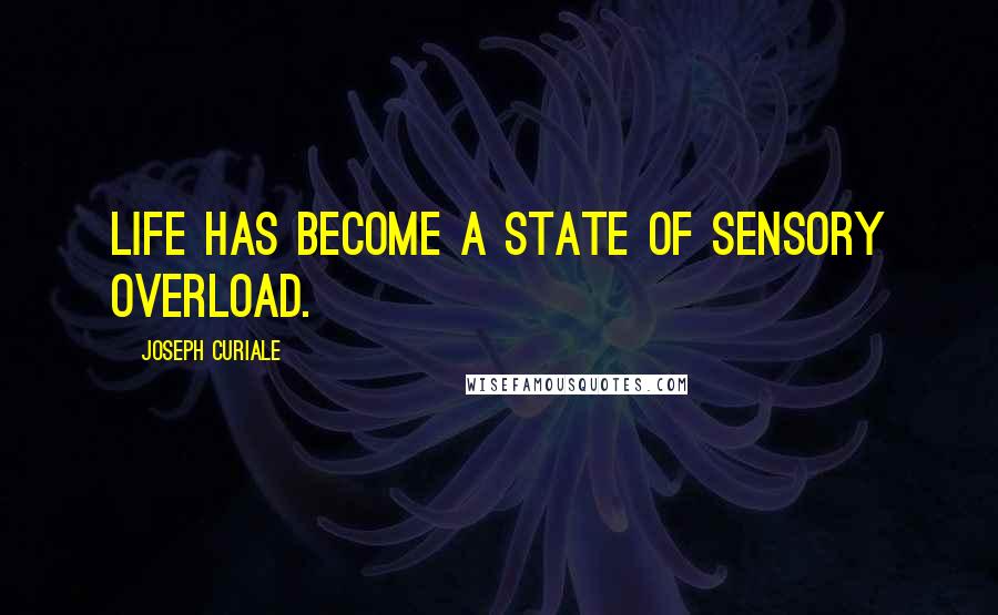 Joseph Curiale Quotes: Life has become a state of sensory overload.