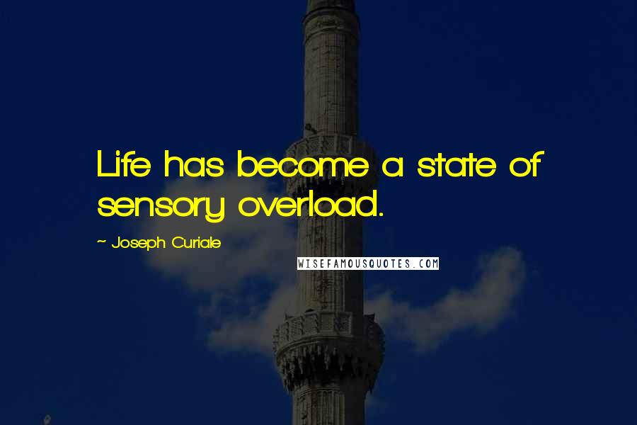 Joseph Curiale Quotes: Life has become a state of sensory overload.