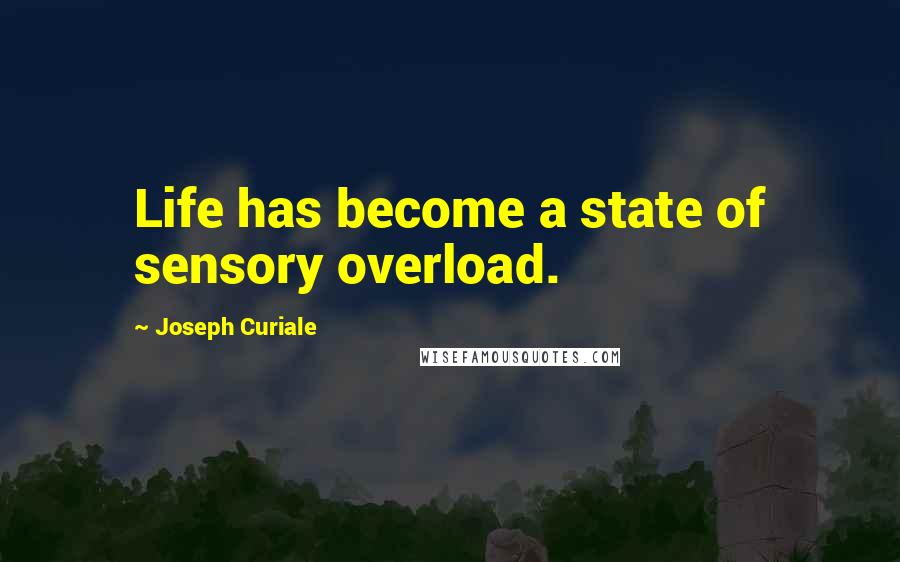 Joseph Curiale Quotes: Life has become a state of sensory overload.