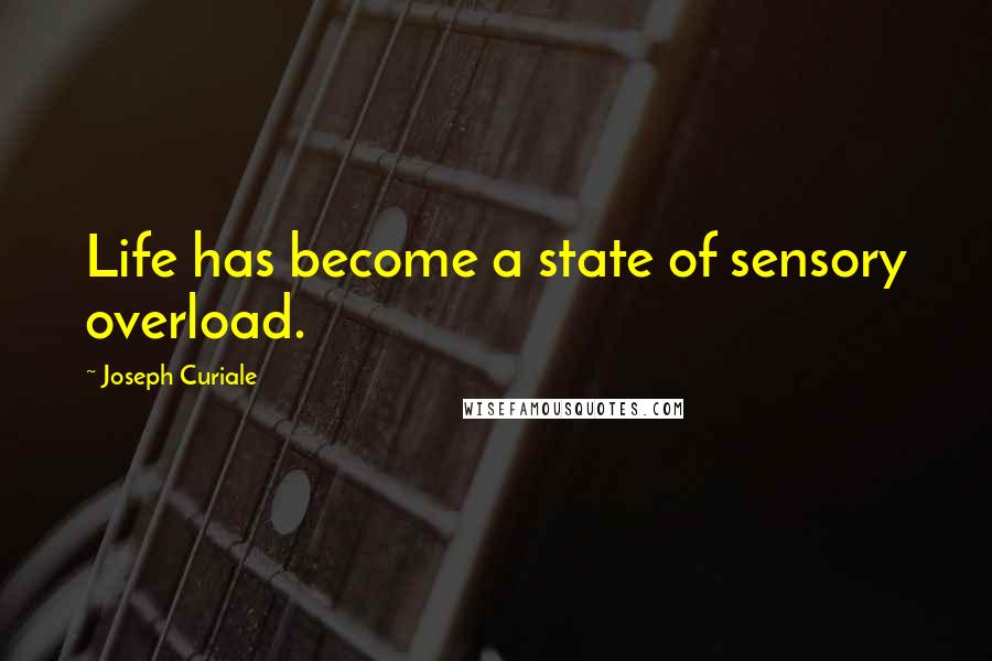 Joseph Curiale Quotes: Life has become a state of sensory overload.