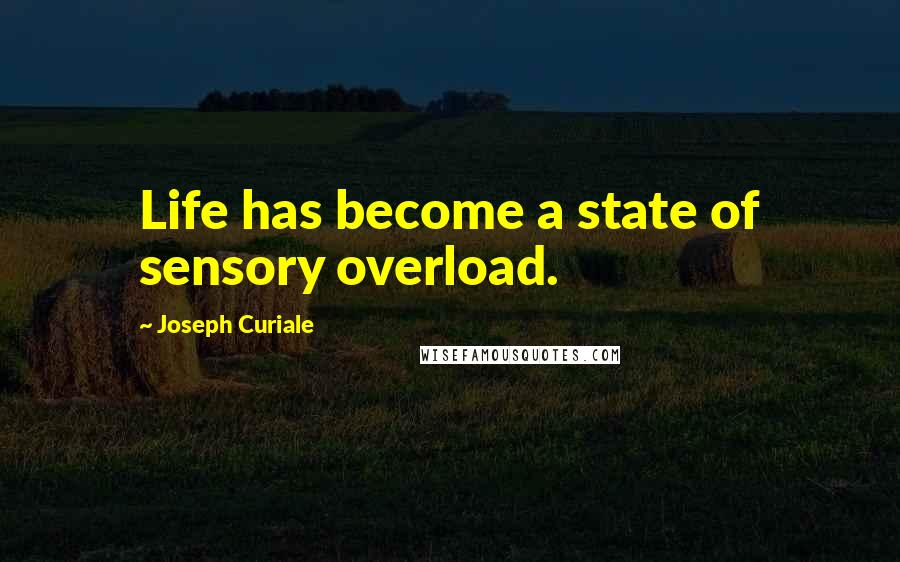 Joseph Curiale Quotes: Life has become a state of sensory overload.