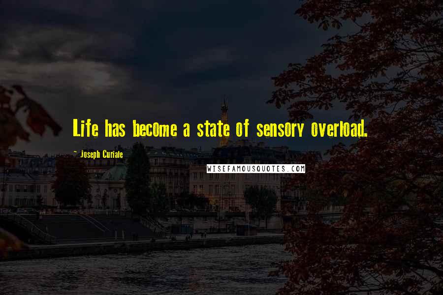 Joseph Curiale Quotes: Life has become a state of sensory overload.