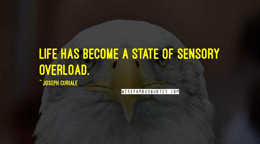 Joseph Curiale Quotes: Life has become a state of sensory overload.