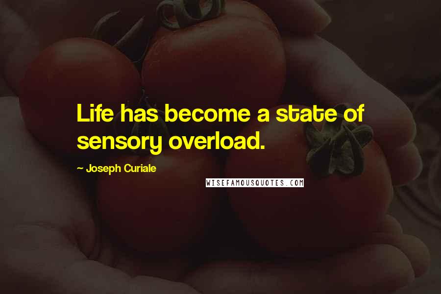 Joseph Curiale Quotes: Life has become a state of sensory overload.