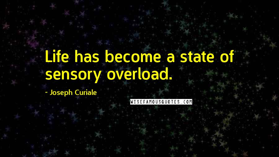 Joseph Curiale Quotes: Life has become a state of sensory overload.