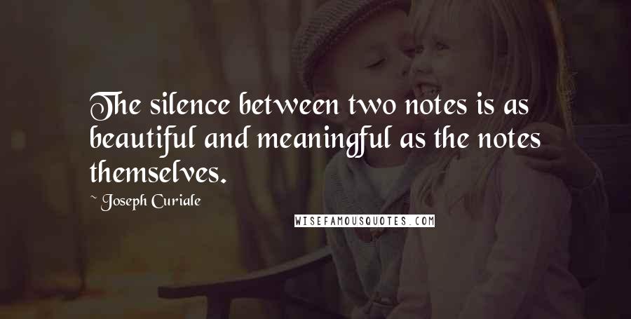 Joseph Curiale Quotes: The silence between two notes is as beautiful and meaningful as the notes themselves.