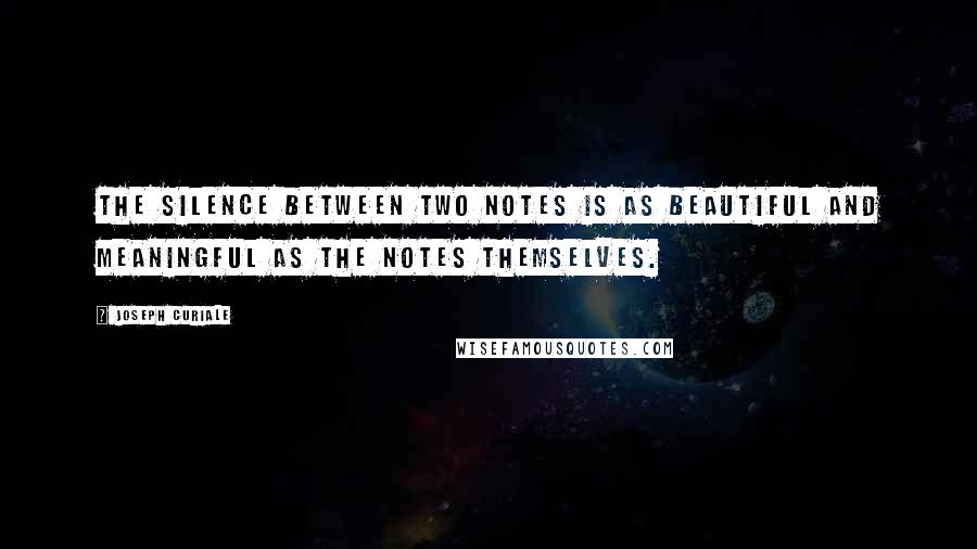 Joseph Curiale Quotes: The silence between two notes is as beautiful and meaningful as the notes themselves.