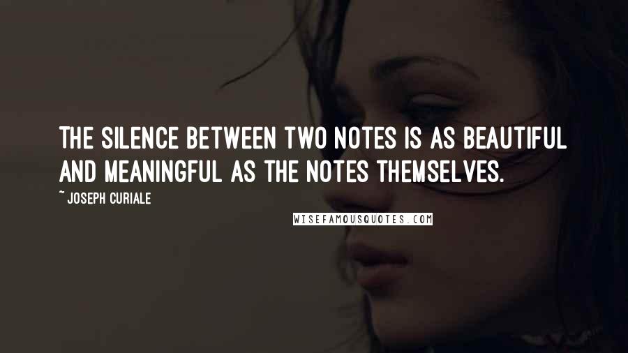 Joseph Curiale Quotes: The silence between two notes is as beautiful and meaningful as the notes themselves.