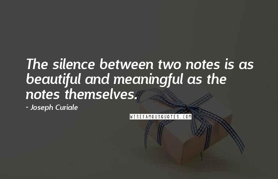 Joseph Curiale Quotes: The silence between two notes is as beautiful and meaningful as the notes themselves.