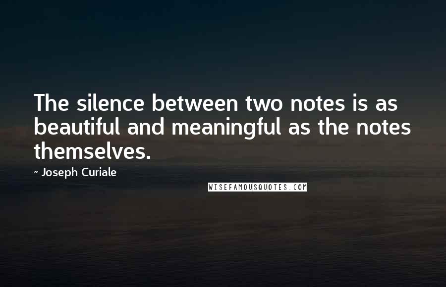 Joseph Curiale Quotes: The silence between two notes is as beautiful and meaningful as the notes themselves.