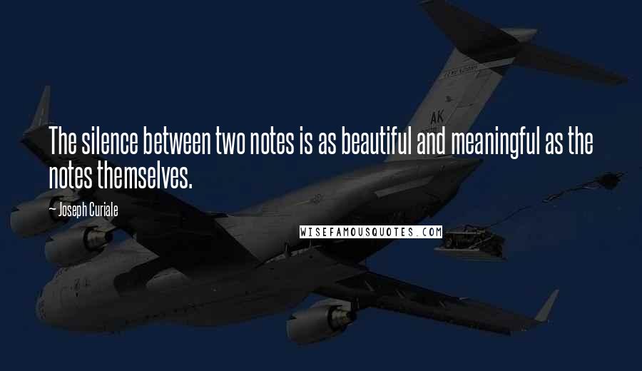 Joseph Curiale Quotes: The silence between two notes is as beautiful and meaningful as the notes themselves.