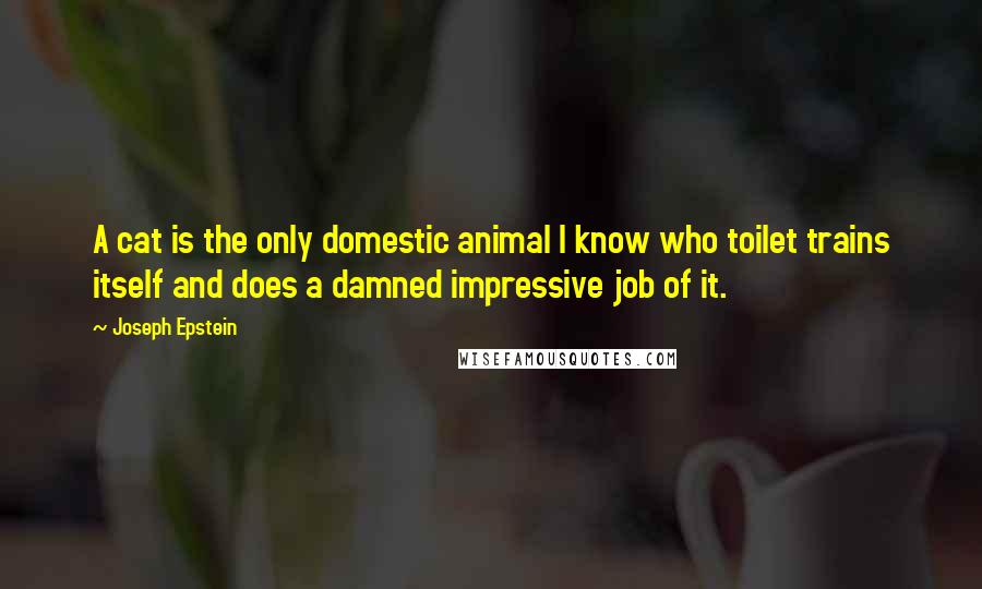 Joseph Epstein Quotes: A cat is the only domestic animal I know who toilet trains itself and does a damned impressive job of it.