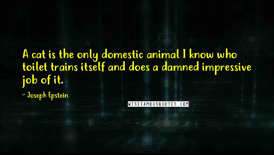 Joseph Epstein Quotes: A cat is the only domestic animal I know who toilet trains itself and does a damned impressive job of it.