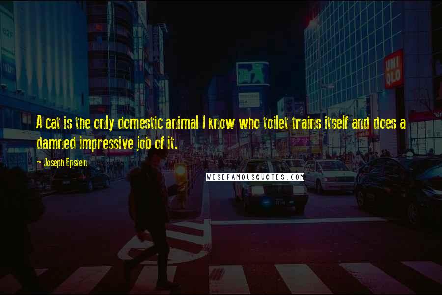 Joseph Epstein Quotes: A cat is the only domestic animal I know who toilet trains itself and does a damned impressive job of it.