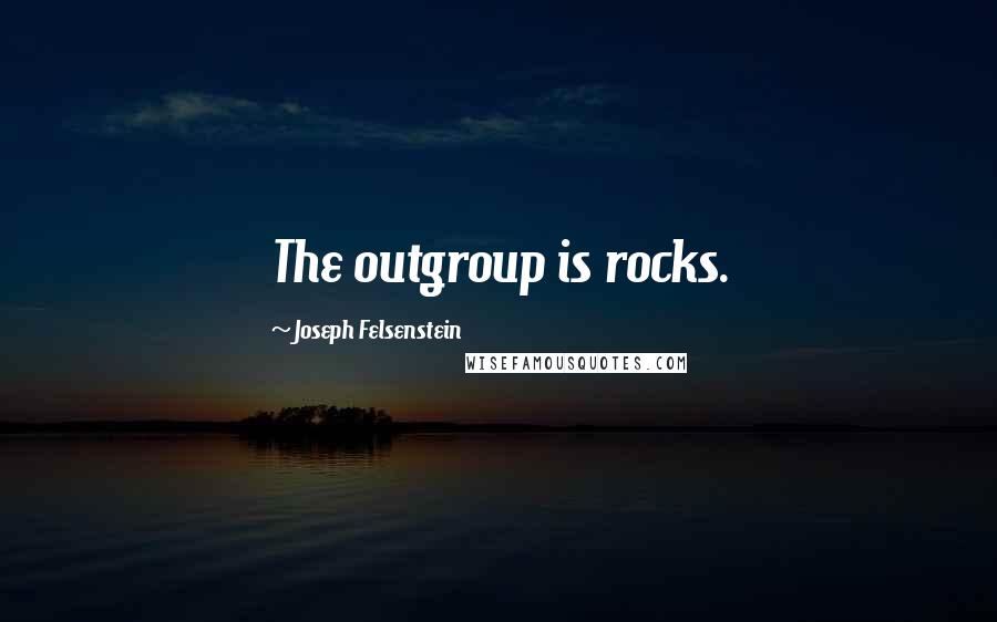 Joseph Felsenstein Quotes: The outgroup is rocks.