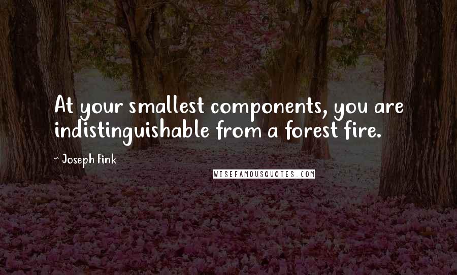 Joseph Fink Quotes: At your smallest components, you are indistinguishable from a forest fire.