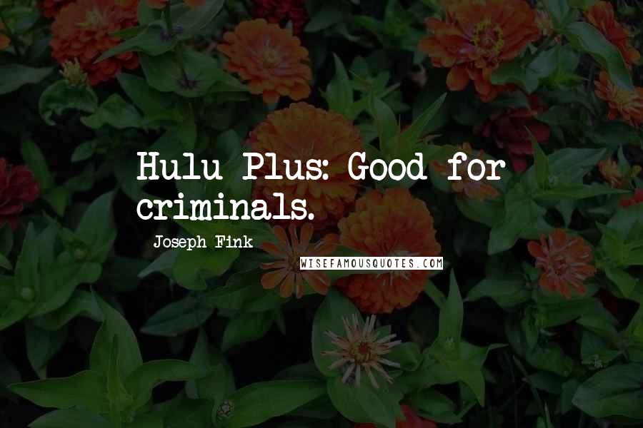 Joseph Fink Quotes: Hulu Plus: Good for criminals.