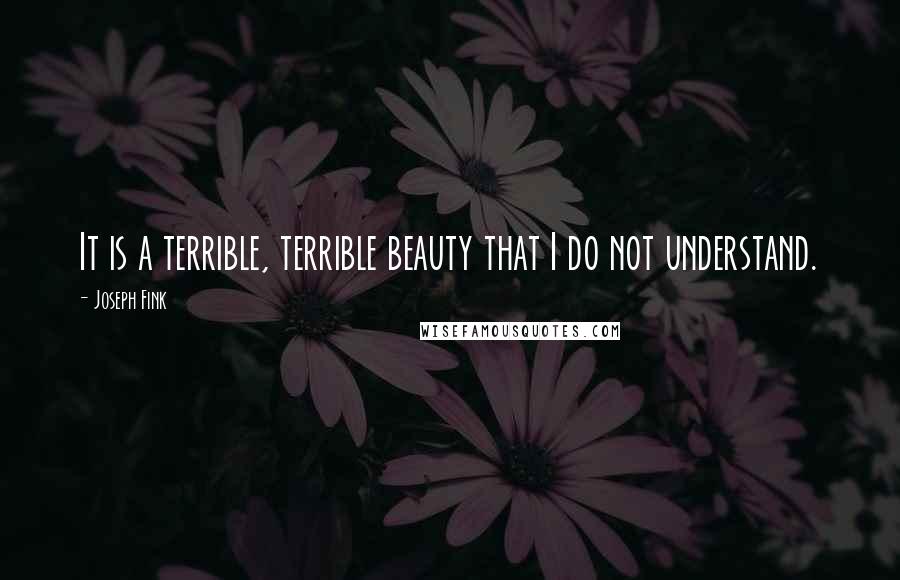 Joseph Fink Quotes: It is a terrible, terrible beauty that I do not understand.