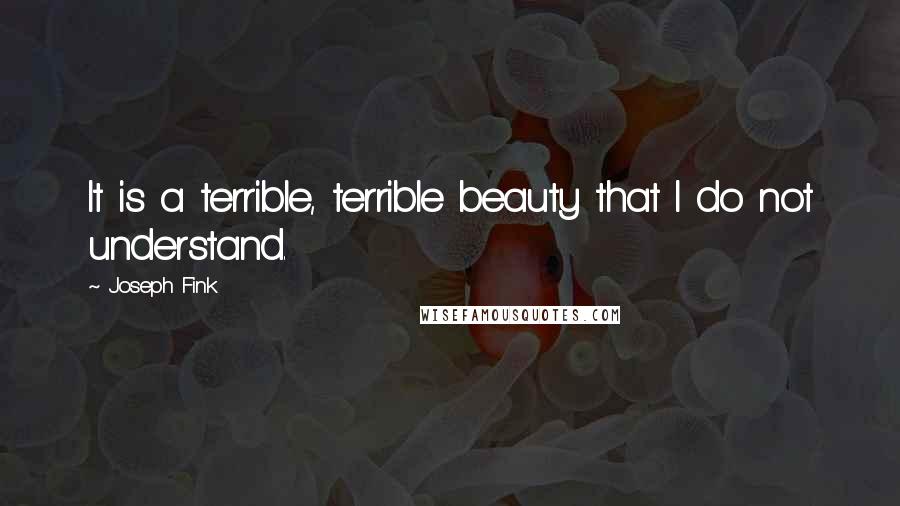 Joseph Fink Quotes: It is a terrible, terrible beauty that I do not understand.