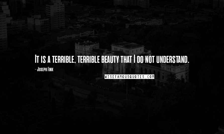 Joseph Fink Quotes: It is a terrible, terrible beauty that I do not understand.