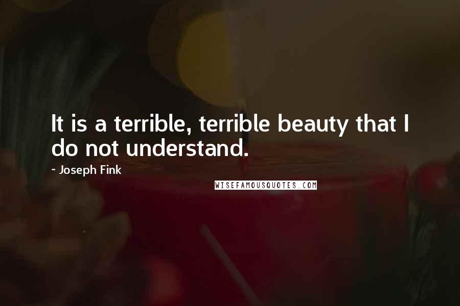 Joseph Fink Quotes: It is a terrible, terrible beauty that I do not understand.