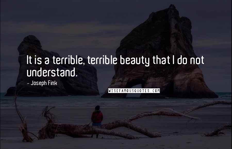 Joseph Fink Quotes: It is a terrible, terrible beauty that I do not understand.