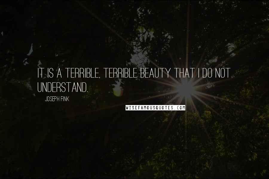 Joseph Fink Quotes: It is a terrible, terrible beauty that I do not understand.