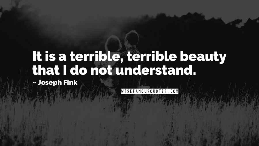 Joseph Fink Quotes: It is a terrible, terrible beauty that I do not understand.