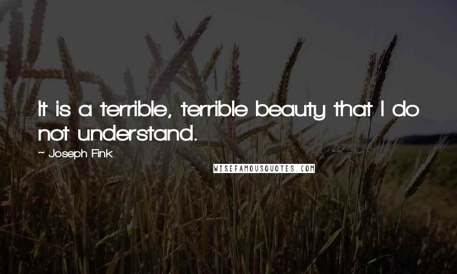 Joseph Fink Quotes: It is a terrible, terrible beauty that I do not understand.