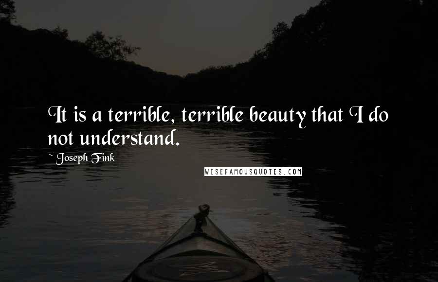 Joseph Fink Quotes: It is a terrible, terrible beauty that I do not understand.