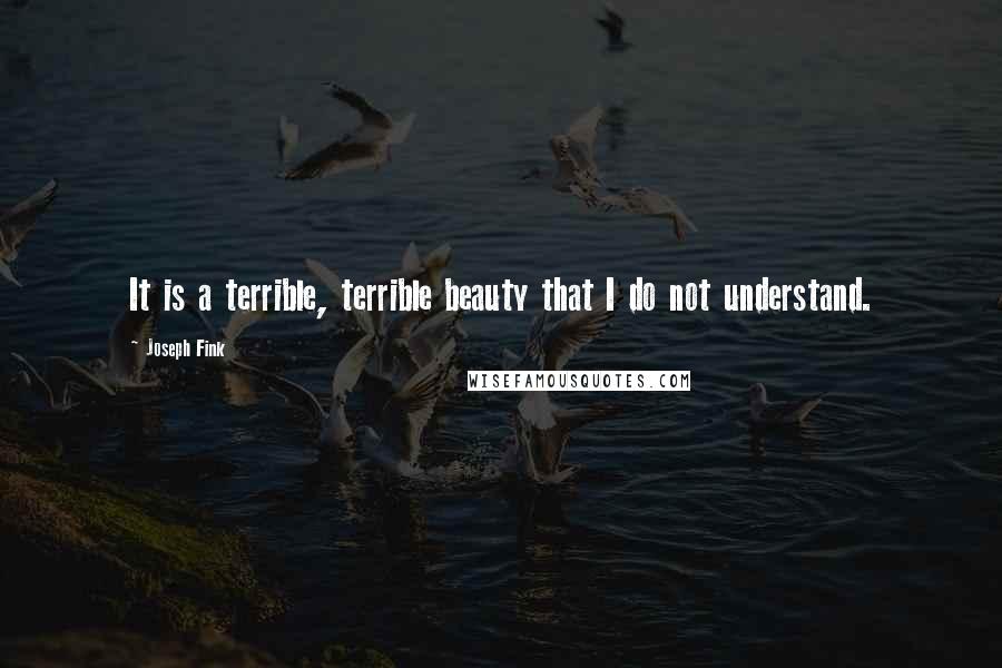 Joseph Fink Quotes: It is a terrible, terrible beauty that I do not understand.