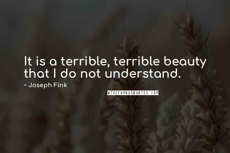Joseph Fink Quotes: It is a terrible, terrible beauty that I do not understand.