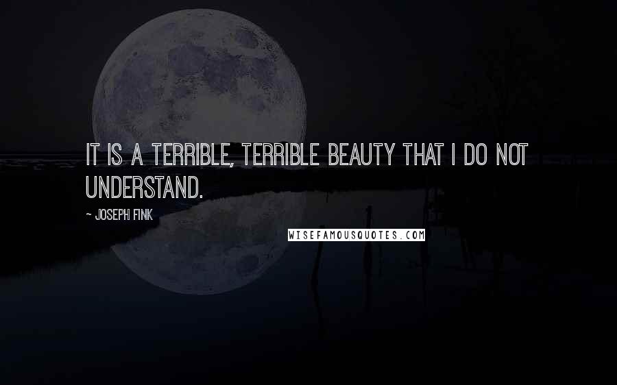 Joseph Fink Quotes: It is a terrible, terrible beauty that I do not understand.