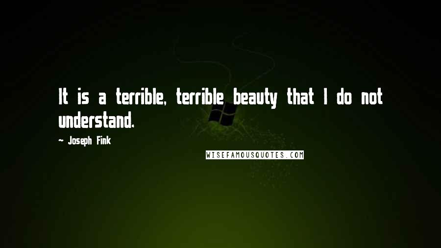 Joseph Fink Quotes: It is a terrible, terrible beauty that I do not understand.
