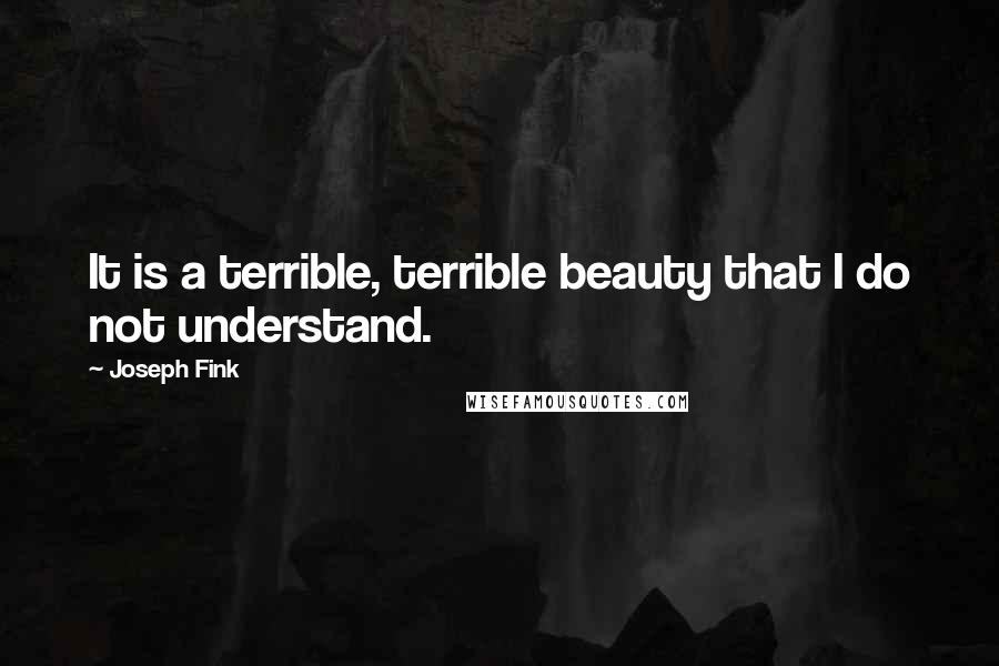Joseph Fink Quotes: It is a terrible, terrible beauty that I do not understand.