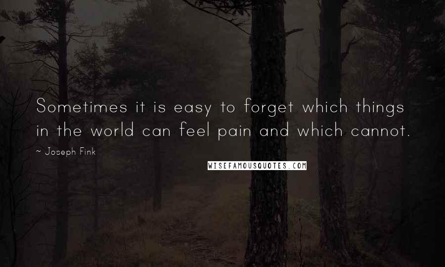 Joseph Fink Quotes: Sometimes it is easy to forget which things in the world can feel pain and which cannot.