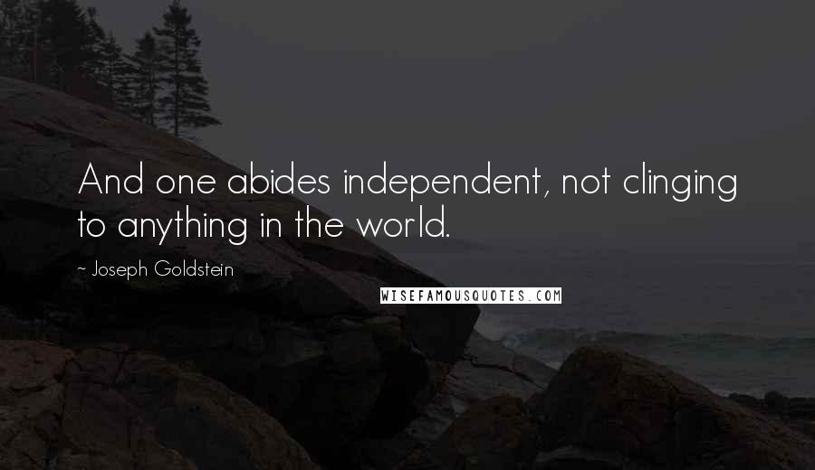 Joseph Goldstein Quotes: And one abides independent, not clinging to anything in the world.