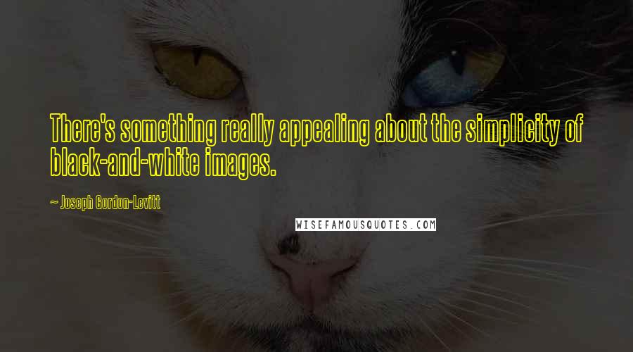 Joseph Gordon-Levitt Quotes: There's something really appealing about the simplicity of black-and-white images.