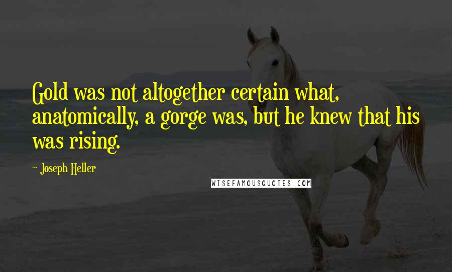 Joseph Heller Quotes: Gold was not altogether certain what, anatomically, a gorge was, but he knew that his was rising.