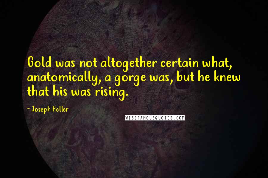 Joseph Heller Quotes: Gold was not altogether certain what, anatomically, a gorge was, but he knew that his was rising.