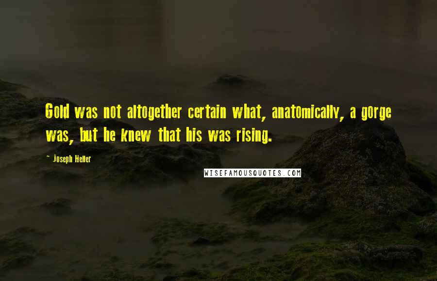 Joseph Heller Quotes: Gold was not altogether certain what, anatomically, a gorge was, but he knew that his was rising.