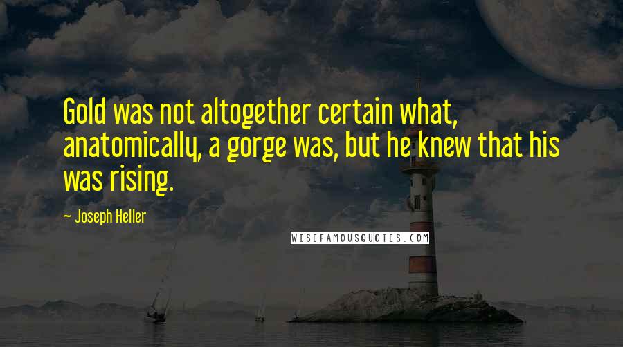 Joseph Heller Quotes: Gold was not altogether certain what, anatomically, a gorge was, but he knew that his was rising.