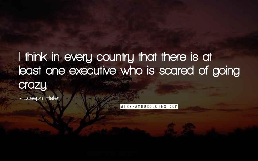 Joseph Heller Quotes: I think in every country that there is at least one executive who is scared of going crazy.