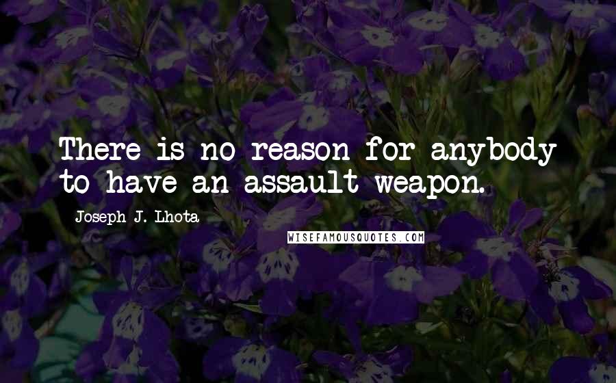 Joseph J. Lhota Quotes: There is no reason for anybody to have an assault weapon.