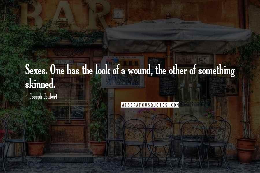Joseph Joubert Quotes: Sexes. One has the look of a wound, the other of something skinned.