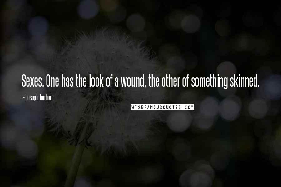 Joseph Joubert Quotes: Sexes. One has the look of a wound, the other of something skinned.