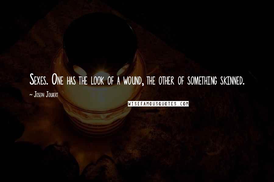 Joseph Joubert Quotes: Sexes. One has the look of a wound, the other of something skinned.