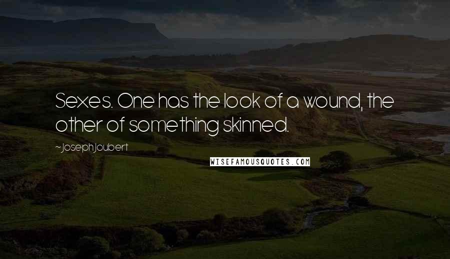 Joseph Joubert Quotes: Sexes. One has the look of a wound, the other of something skinned.
