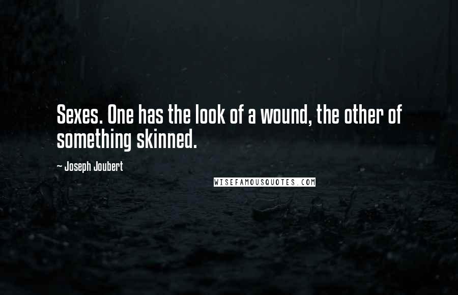Joseph Joubert Quotes: Sexes. One has the look of a wound, the other of something skinned.