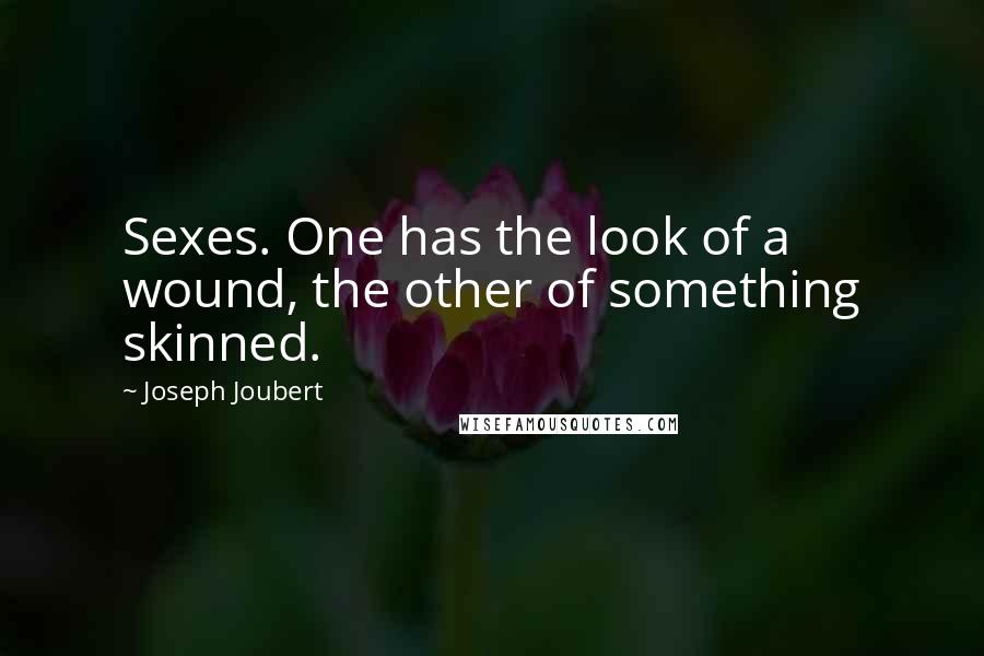 Joseph Joubert Quotes: Sexes. One has the look of a wound, the other of something skinned.